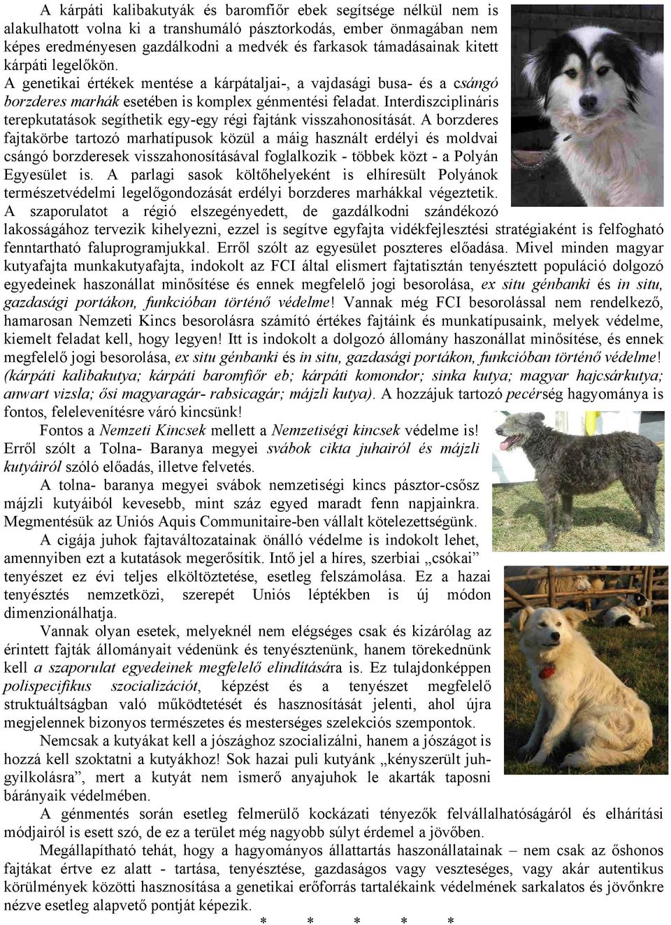 Interdiszciplináris terepkutatások segíthetik egy-egy régi fajtánk visszahonosítását.
