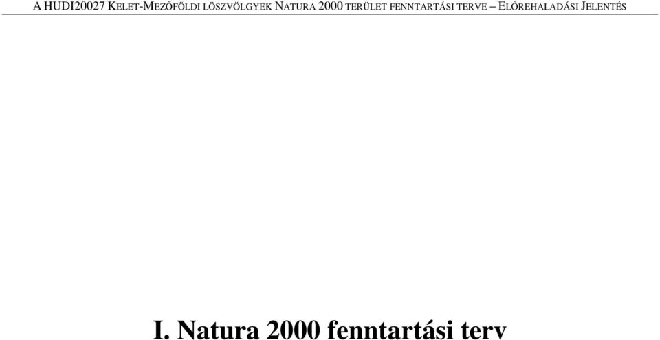 FENNTARTÁSI TERVE ELŐREHALADÁSI