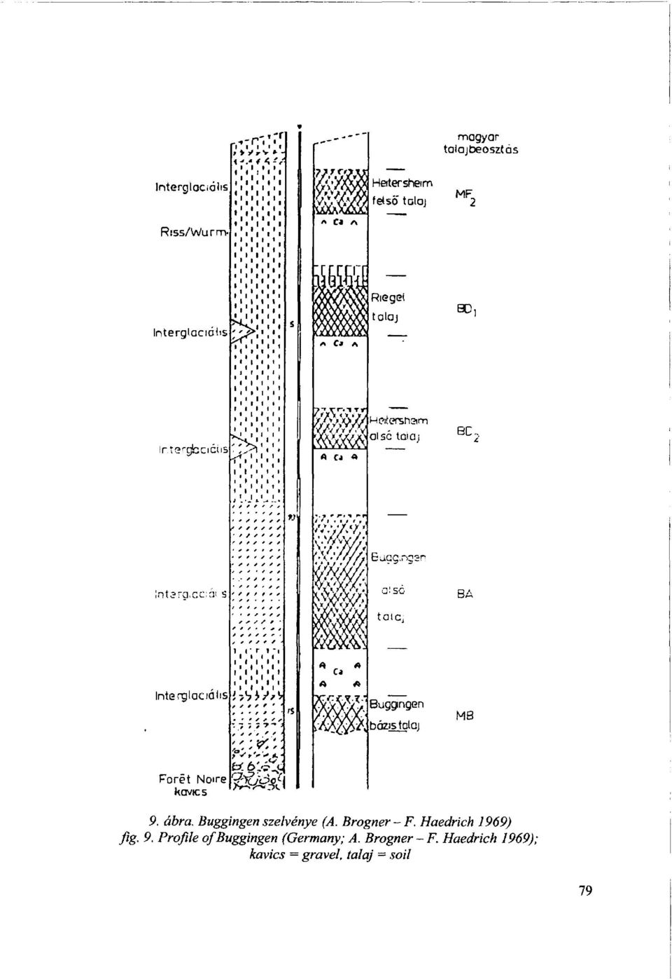 Haedrich 1969) fig. 9.