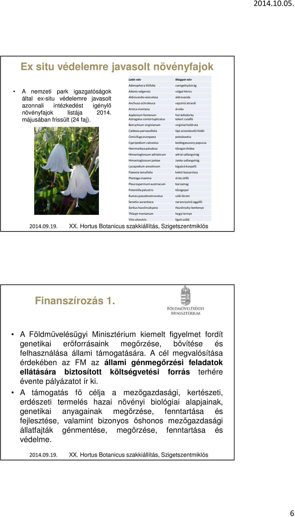 Cimicifuga europaea Cypripediumcalceolus Hammarbya paludosa Himantoglossumadriaticum Himantoglossum jankae Lycopodium annotinum Paeonia tenuifolia Plantago maxima Pleurospermum austriacum Potentilla