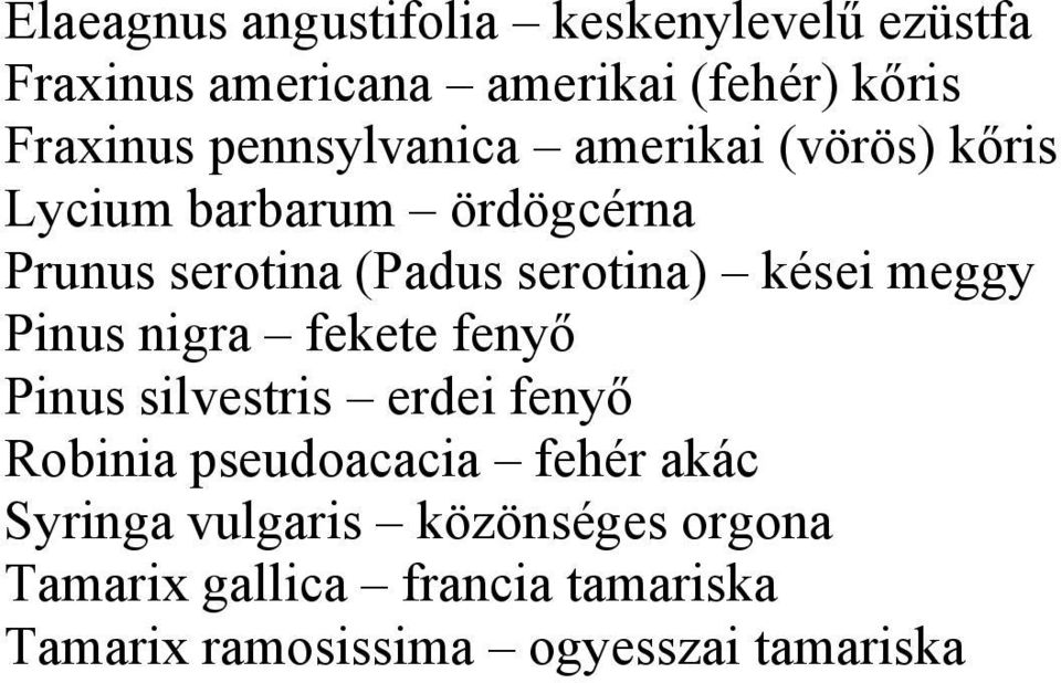 kései meggy Pinus nigra fekete fenyő Pinus silvestris erdei fenyő Robinia pseudoacacia fehér akác