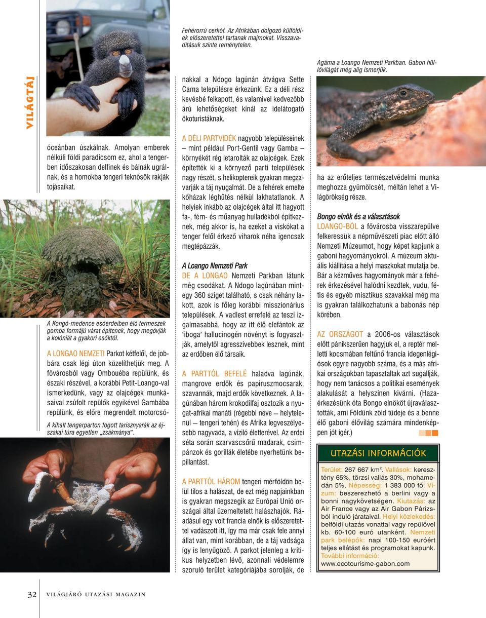 A fõvárosból vagy Ombouéba repülünk, és északi részével, a korábbi Petit-Loango-val ismerkedünk, vagy az olajcégek munkásaival zsúfolt repülõk egyikével Gambába repülünk, és elõre megrendelt