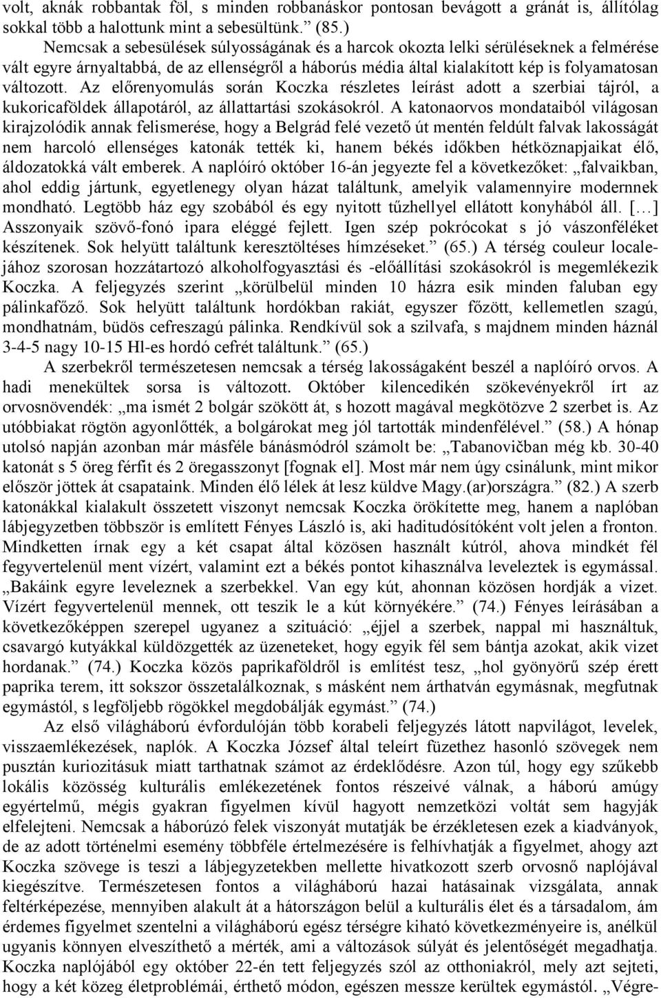 Az előrenyomulás során Koczka részletes leírást adott a szerbiai tájról, a kukoricaföldek állapotáról, az állattartási szokásokról.