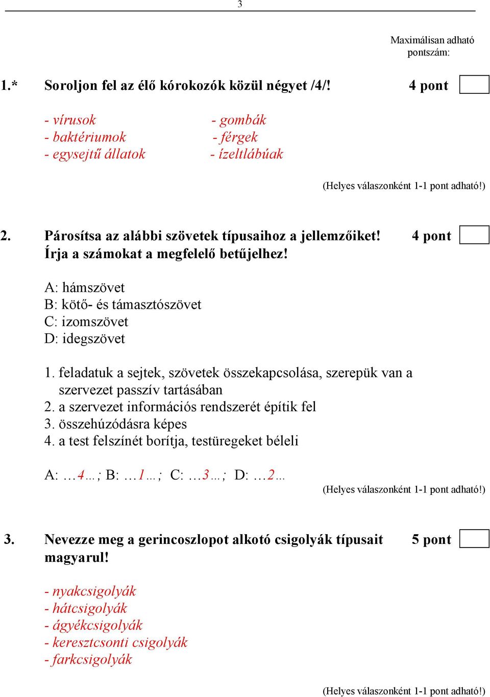 feladatuk a sejtek, szövetek összekapcsolása, szerepük van a szervezet passzív tartásában 2. a szervezet információs rendszerét építik fel 3. összehúzódásra képes 4.