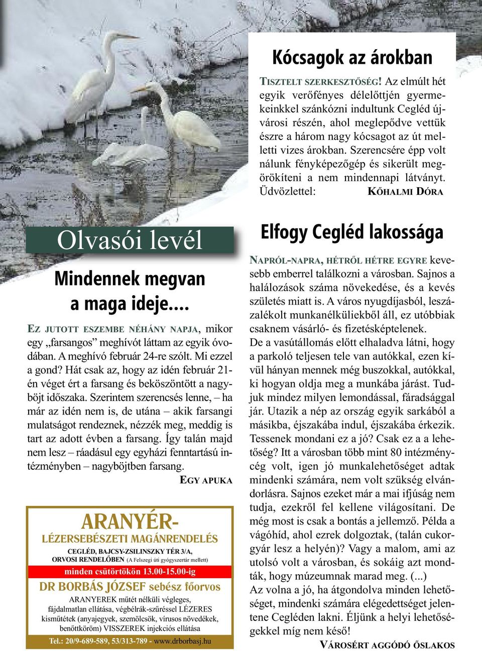 Szerencsére épp volt nálunk fényképezőgép és sikerült megörökíteni a nem mindennapi látványt. Üdvözlettel: KŐHALMI DÓRA Olvasói levél Mindennek megvan a maga ideje.