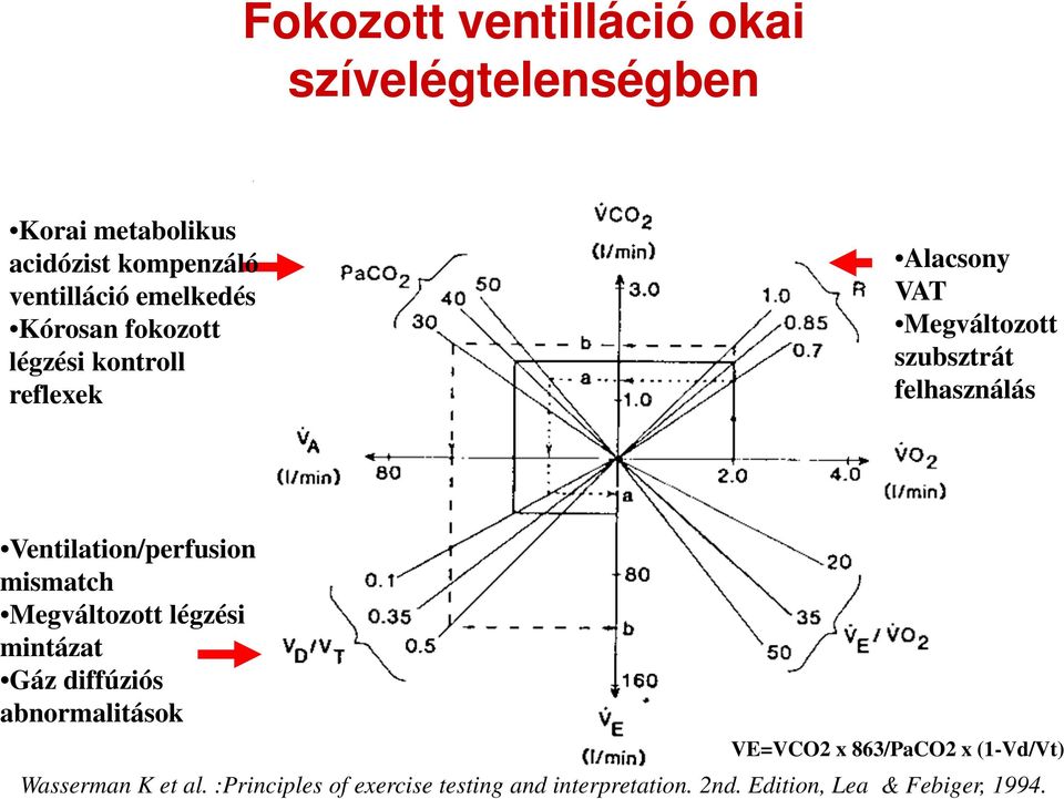Ventilation/perfusion mismatch Megváltozott légzési mintázat Gáz diffúziós abnormalitások VE=VCO2 x