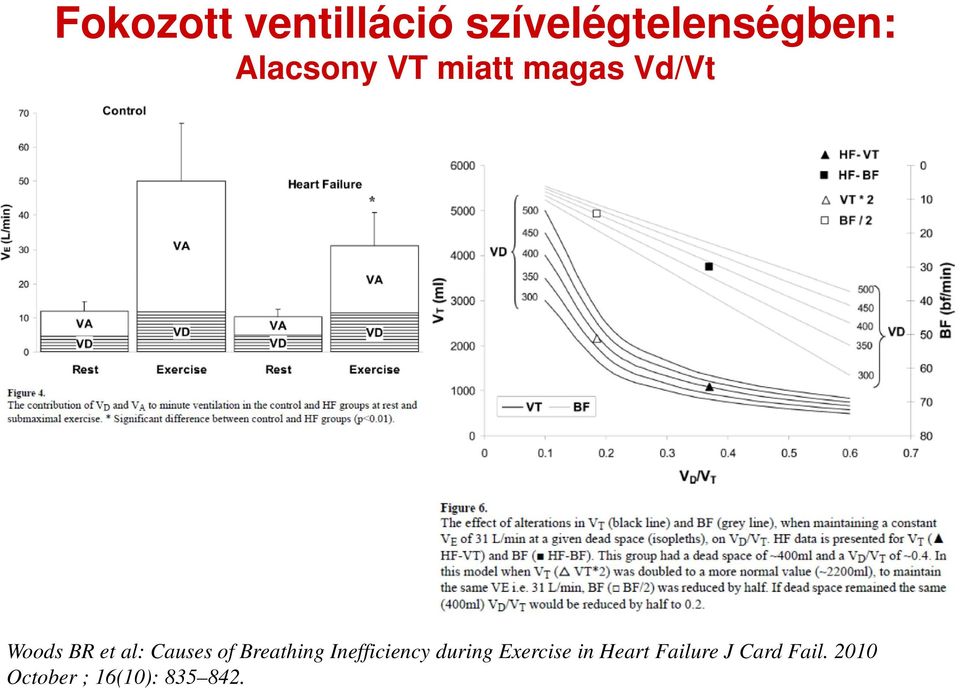 Causes of Breathing Inefficiency during Exercise