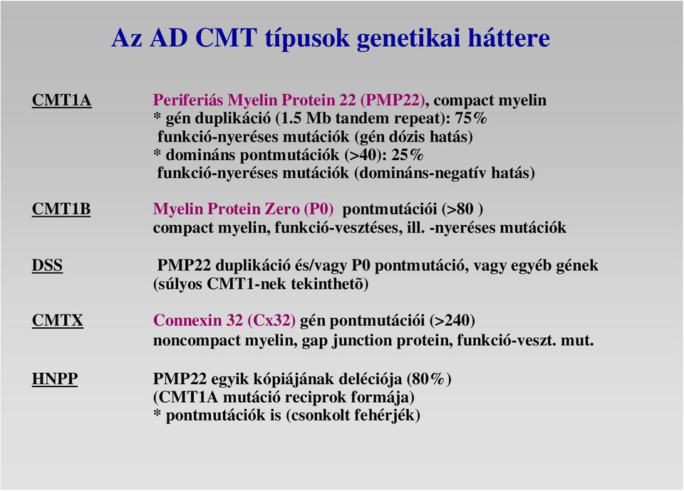 Protein Zero (P0) pontmutációi (>80 ) compact myelin, funkció-vesztéses, ill.