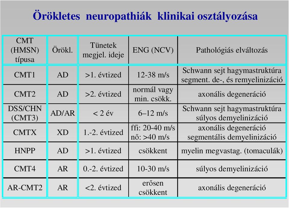 évtized ffi: 20-40 m/s nı: >40 m/s Pathológiás elváltozás Schwann sejt hagymastruktúra segment.