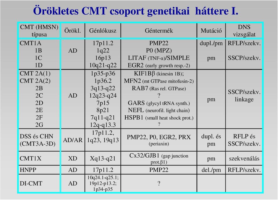-2) KIF1Bβ (kinesin 1B); MFN2 (mt GTPase mitofusin-2) RAB7 (Ras rel. GTPase)? GARS (glycyl trna synth.) NEFL (neurofil. light chain) HSPB1 (small heat shock prot.)? PMP22, P0, EGR2, PRX (periaxin) dupl.