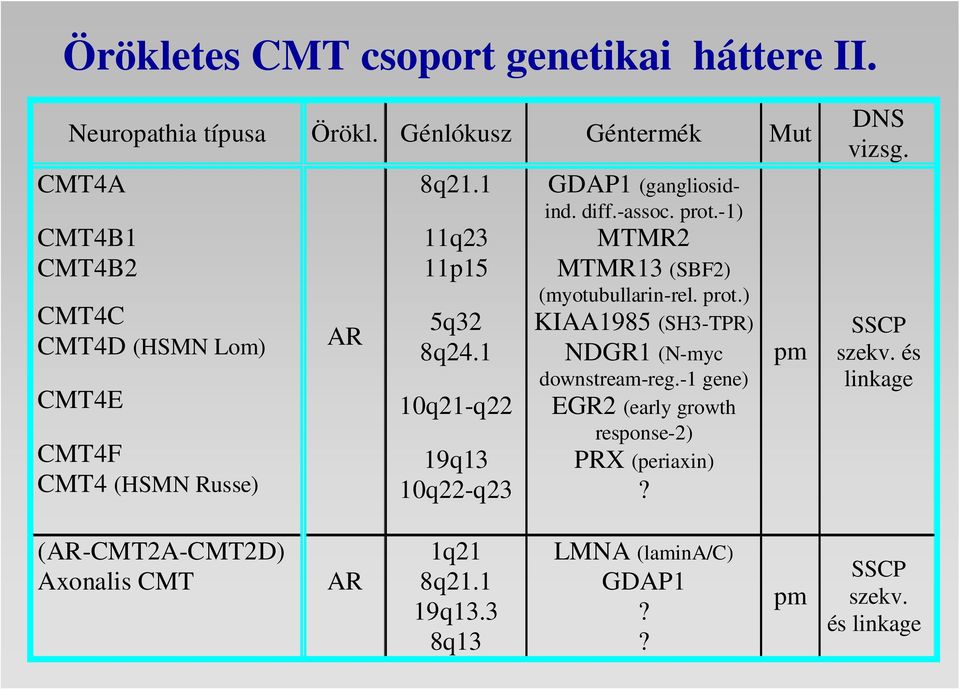 1 10q21-q22 19q13 10q22-q23 GDAP1 (gangliosidind. diff.-assoc. prot.-1) MTMR2 MTMR13 (SBF2) (myotubullarin-rel. prot.) KIAA1985 (SH3-TPR) NDGR1 (N-myc downstream-reg.