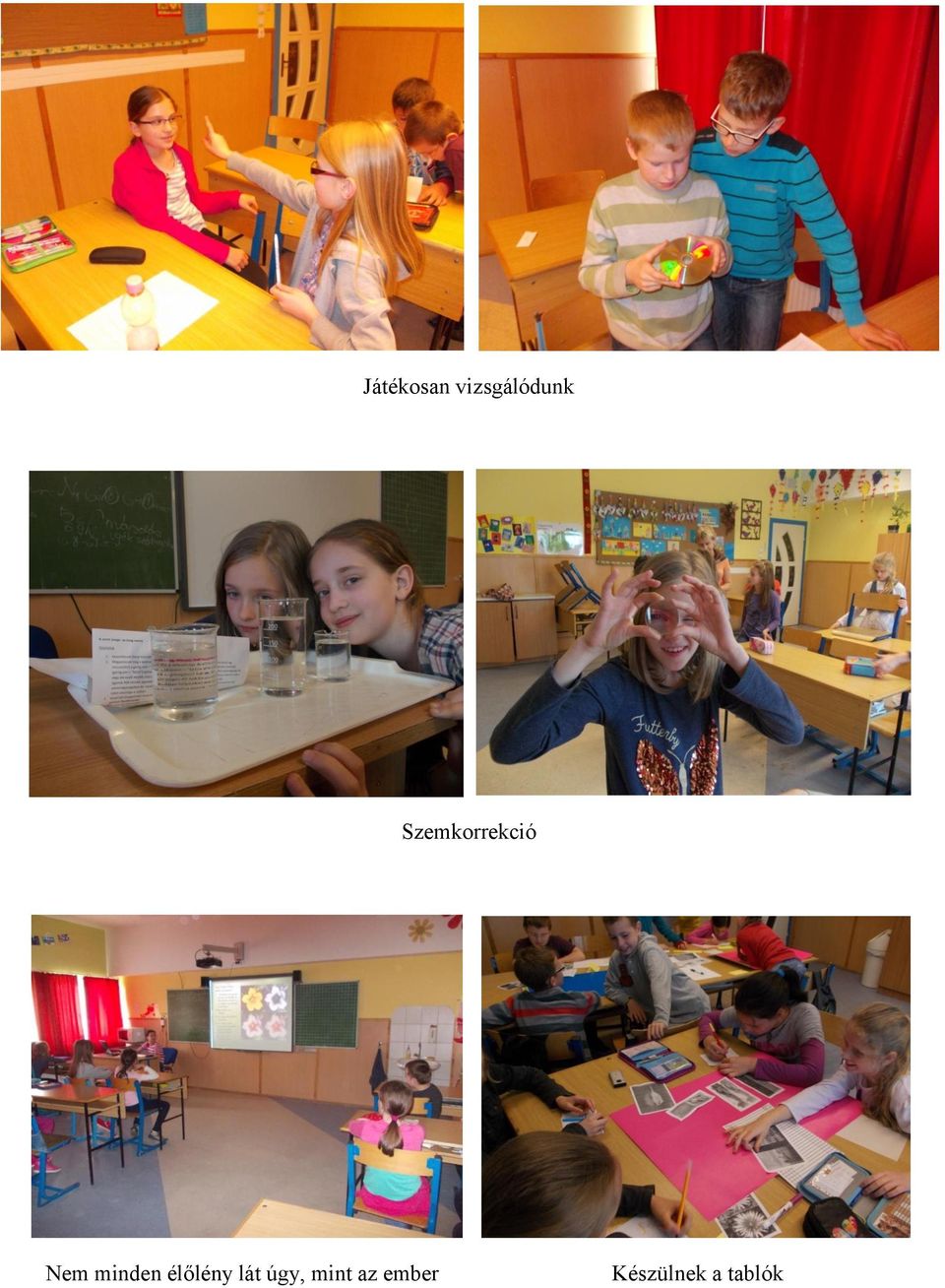 élőlény lát úgy, mint az