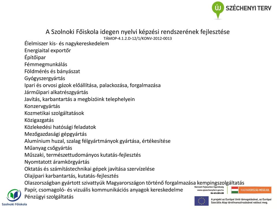 félgyártmányok gyártása, értékesítése Műanyag csőgyártás Műszaki, természettudományos kutatás-fejlesztés Nyomtatott áramkörgyártás Oktatás és számítástechnikai gépek javítása szervízelése Olajipari