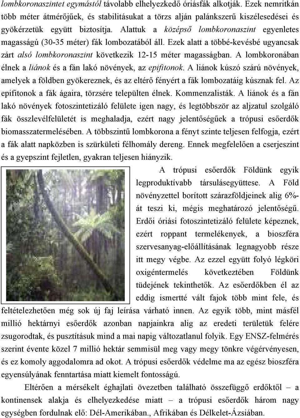 A lombkoronában élnek a liánok és a fán lakó növények, az epifitonok. A liánok kúszó szárú növények, amelyek a földben gyökereznek, és az eltérő fényért a fák lombozatáig kúsznak fel.