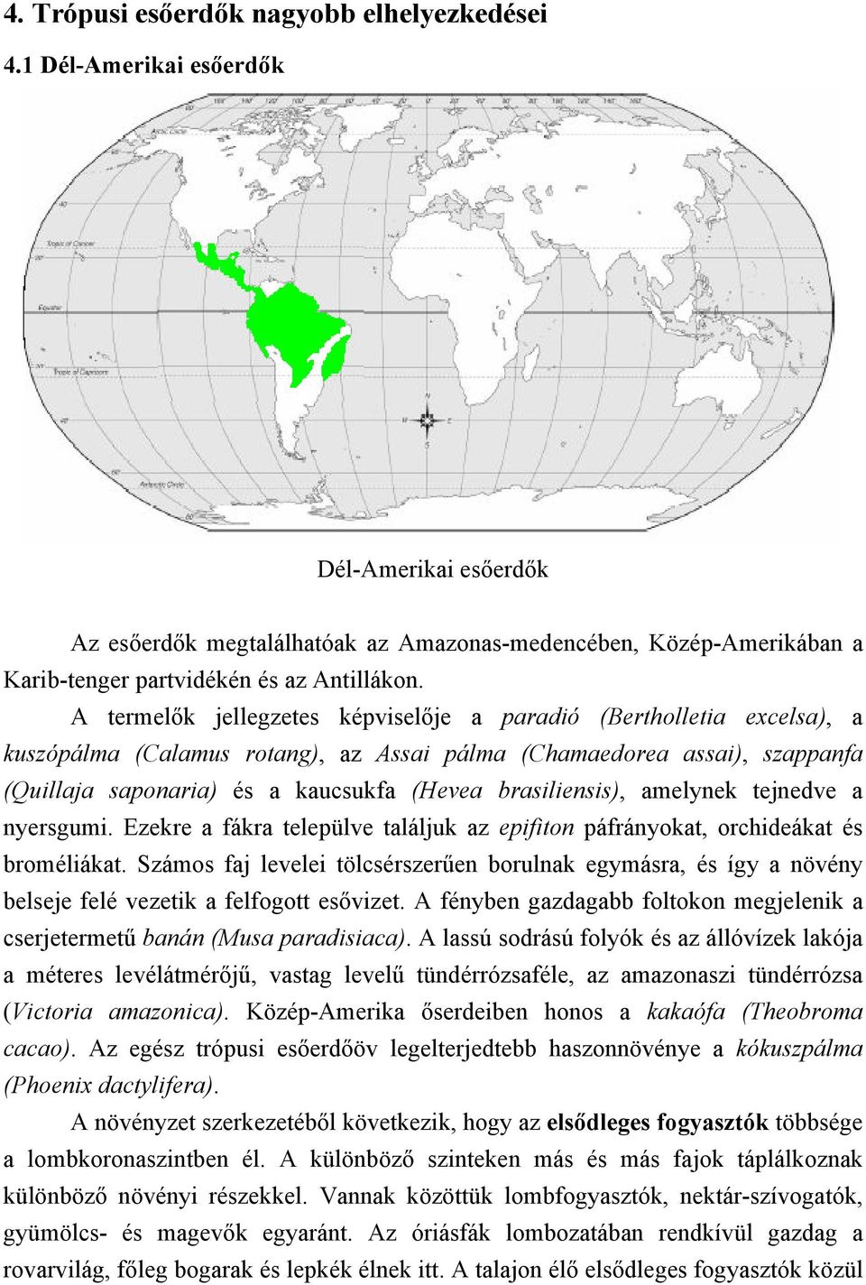 A termelők jellegzetes képviselője a paradió (Bertholletia excelsa), a kuszópálma (Calamus rotang), az Assai pálma (Chamaedorea assai), szappanfa (Quillaja saponaria) és a kaucsukfa (Hevea