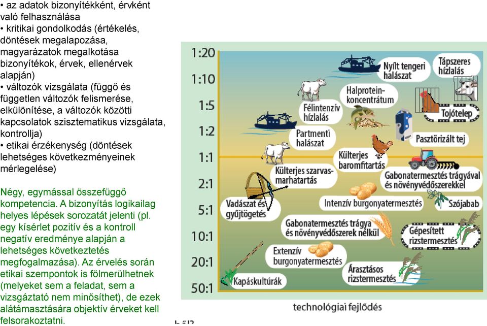 következményeinek mérlegelése) Négy, egymással összefüggő kompetencia. A bizonyítás logikailag helyes lépések sorozatát jelenti (pl.