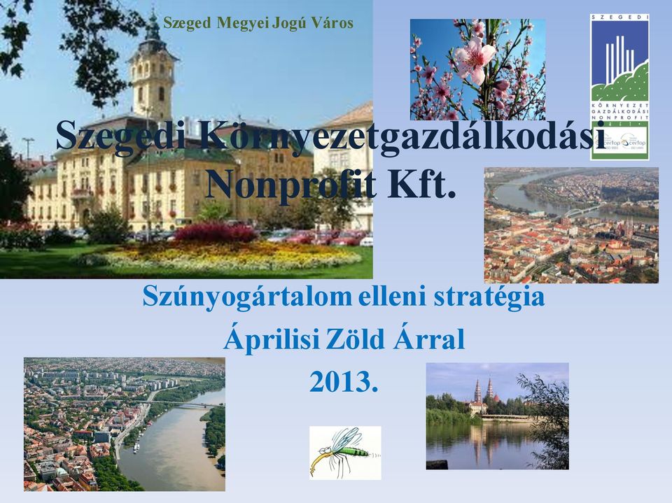 Nonprofit Kft.