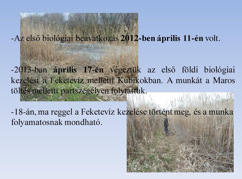 Feketevíz melletti Kubikokban.