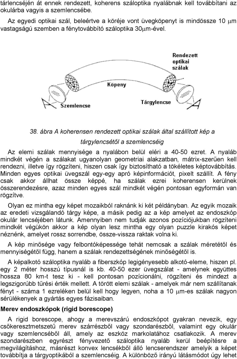ábra A koherensen rendezett optikai szálak által szállított kép a tárgylencsétől a szemlencséig Az elemi szálak mennyisége a nyalábon belül eléri a 40-50 ezret.