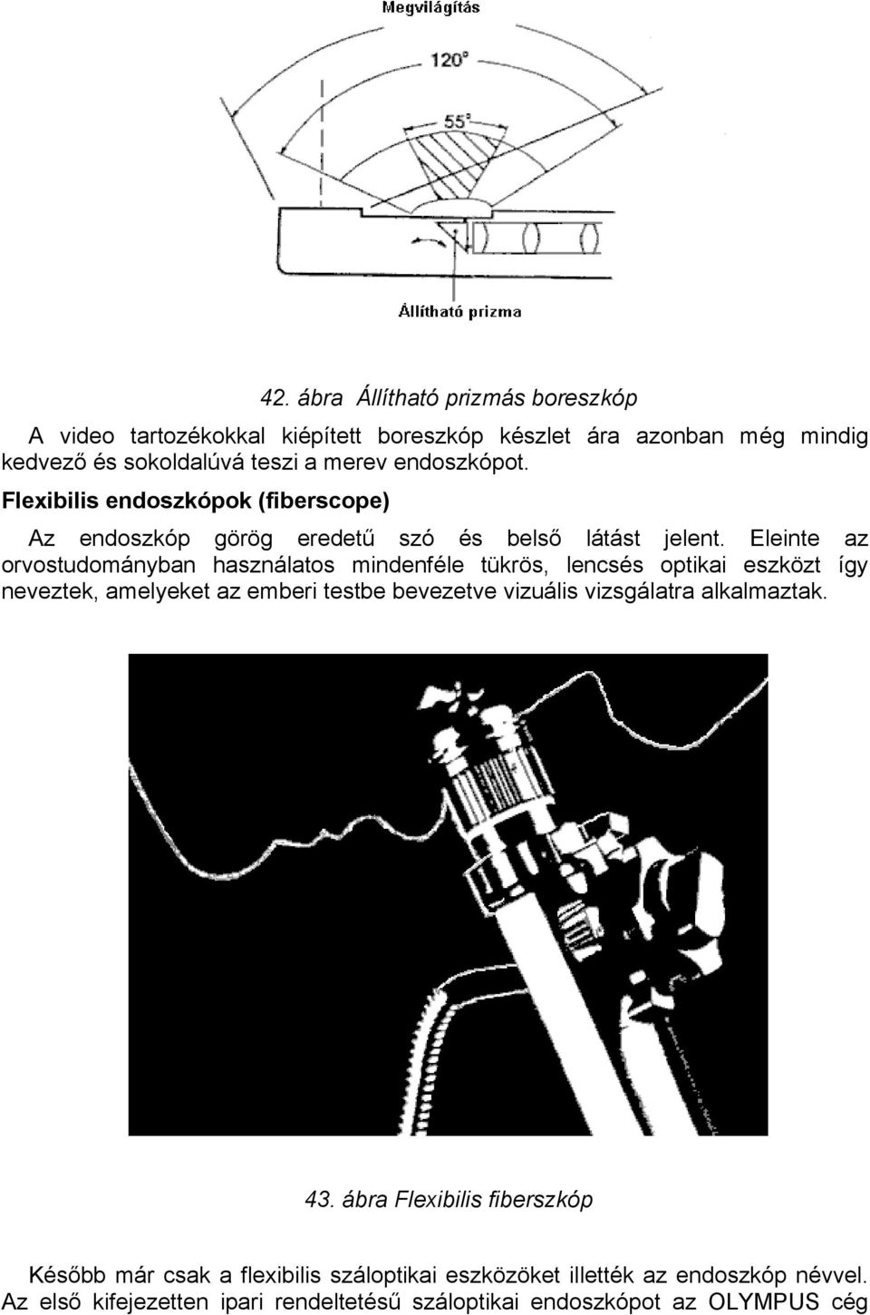 Eleinte az orvostudományban használatos mindenféle tükrös, lencsés optikai eszközt így neveztek, amelyeket az emberi testbe bevezetve vizuális