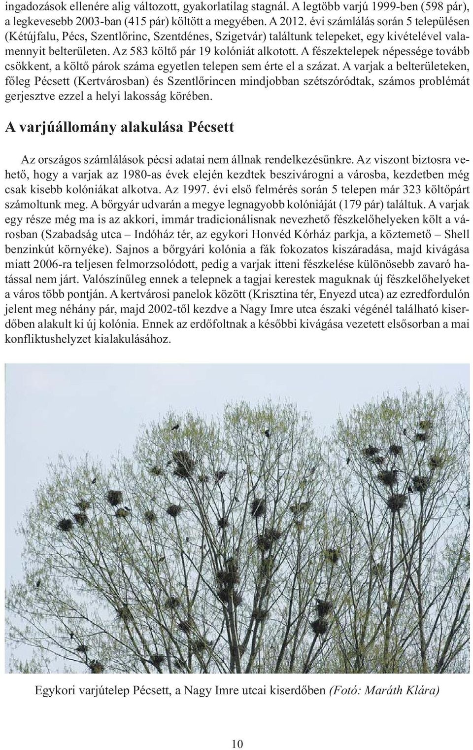 A fészektelepek népessége tovább csökkent, a költő párok száma egyetlen telepen sem érte el a százat.