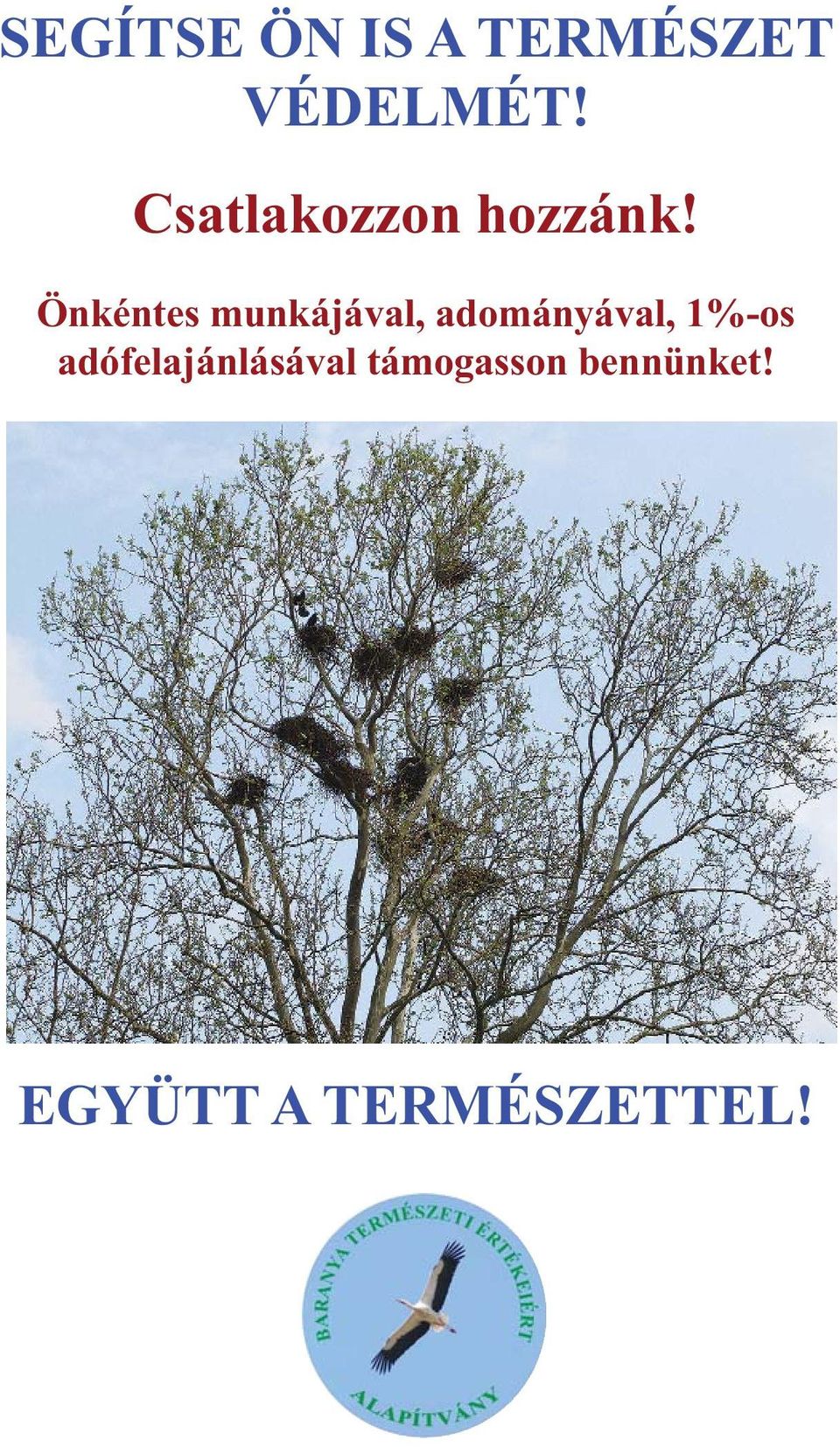 Önkéntes munkájával, adományával, 1%-os