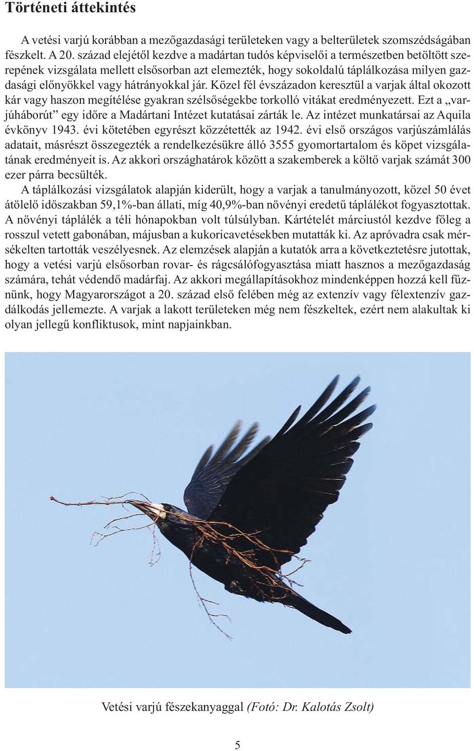 hátrányokkal jár. Közel fél évszázadon keresztül a varjak által okozott kár vagy haszon megítélése gyakran szélsőségekbe torkolló vitákat eredményezett.