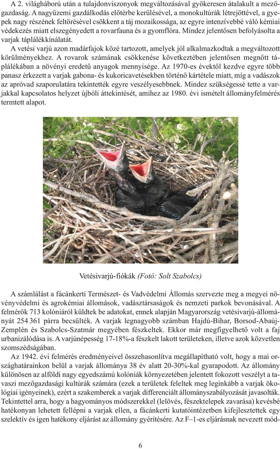 elszegényedett a rovarfauna és a gyomflóra. Mindez jelentősen befolyásolta a varjak táplálékkínálatát.