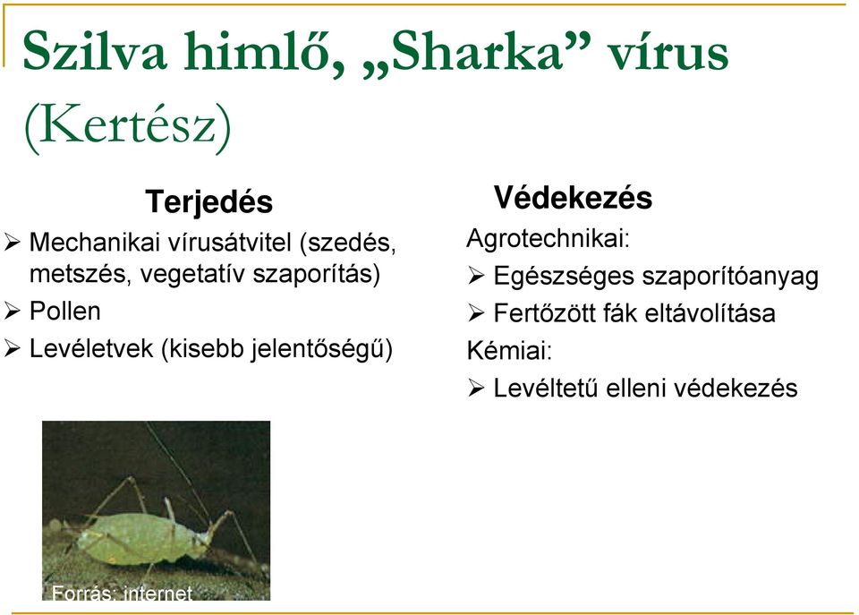 jelentőségű) Védekezés Agrotechnikai: Egészséges szaporítóanyag