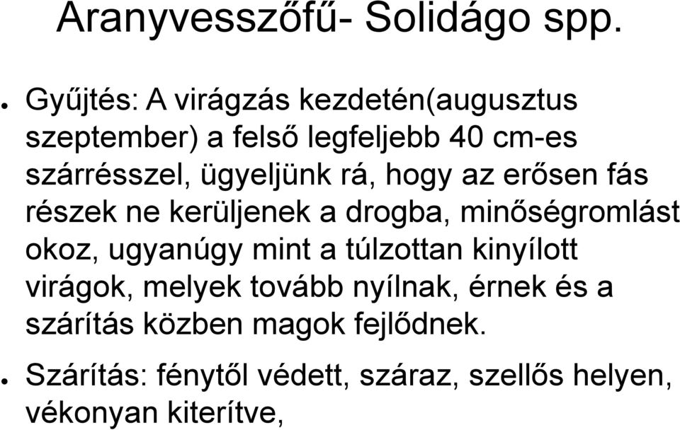 ügyeljünk rá, hogy az erősen fás részek ne kerüljenek a drogba, minőségromlást okoz, ugyanúgy