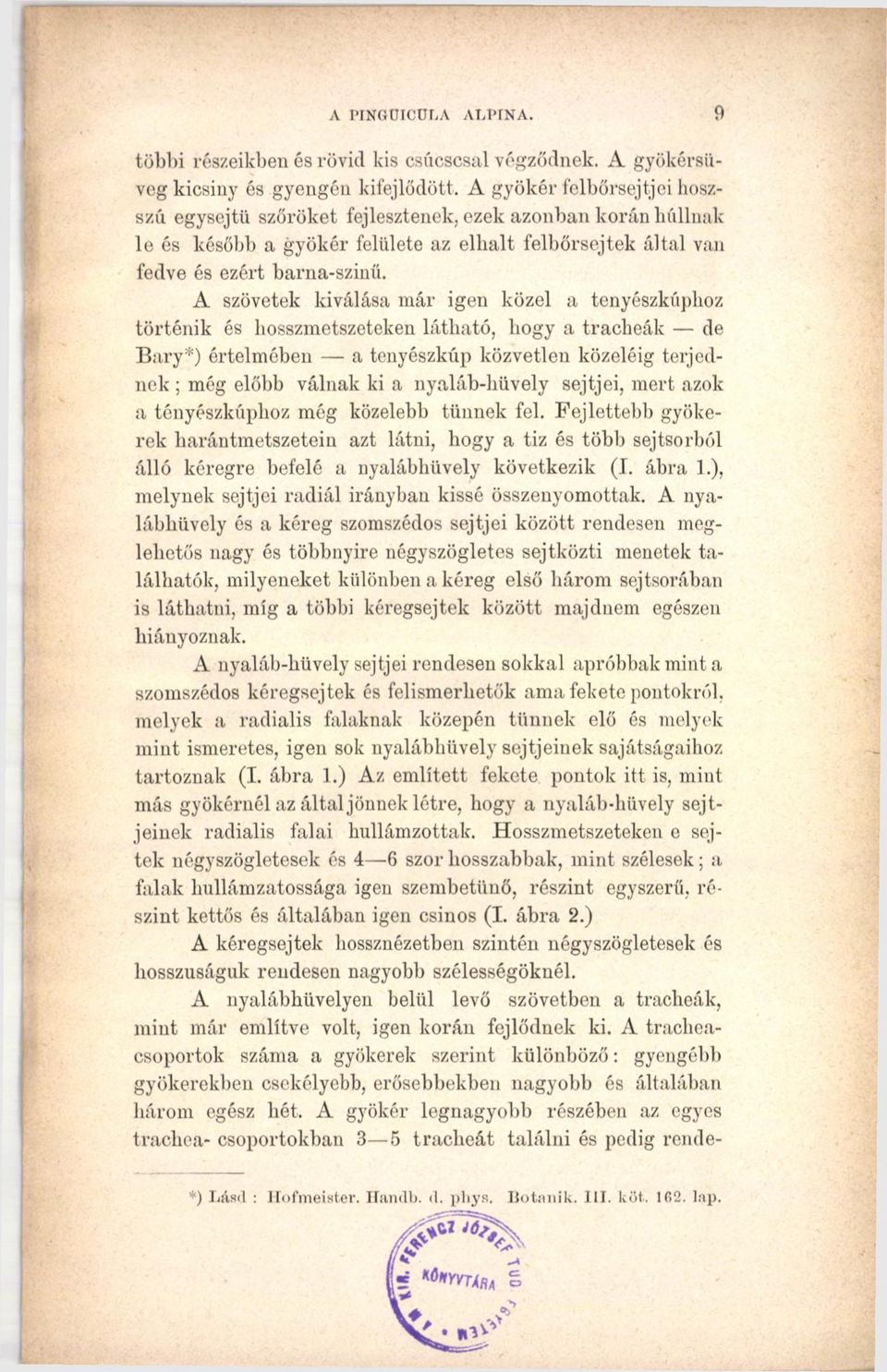A szövetek kiválása már igen közel a tenyészkúphoz történik és hosszmetszeteken látható, hogy a tracheák de Bary*) értelmében a tenyészkúp közvetlen közeiéig terjednek ; még előbb válnak ki a