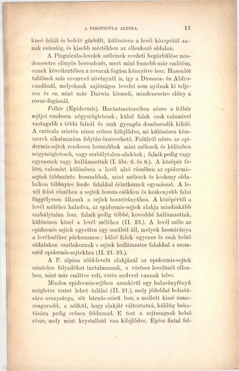 Hasonlót találunk más rovarevő növénynél is, így a Dionaea- és Aldrovandánál, melyeknek sajátságos levelei nem nyílnak ki teljesen és ez, mint már Darwin kiemeli, mindenesetre előny a rovar-fogásnál.
