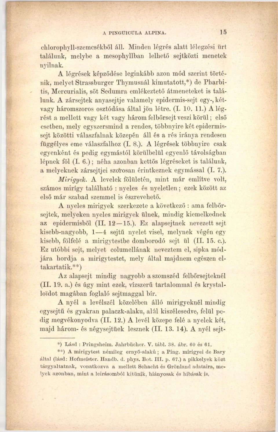 A zársejtek anyasejtje valamely epidermis-sejt egy-, kétvagy háromszoros osztódása által jön létre. (I. 10. 11.