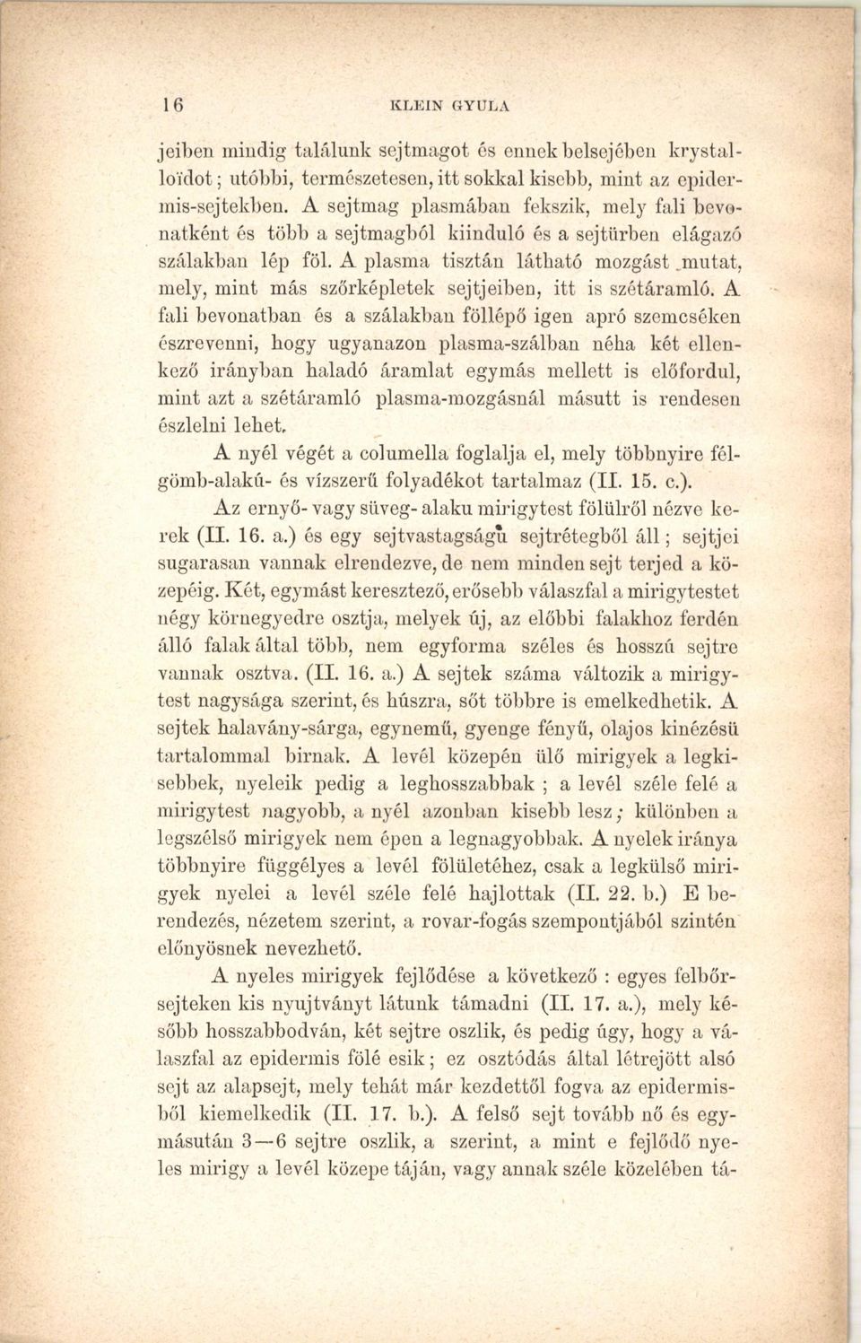 mutat, mely, mint más szőrképletek sejtjeiben, itt is szétáramló.
