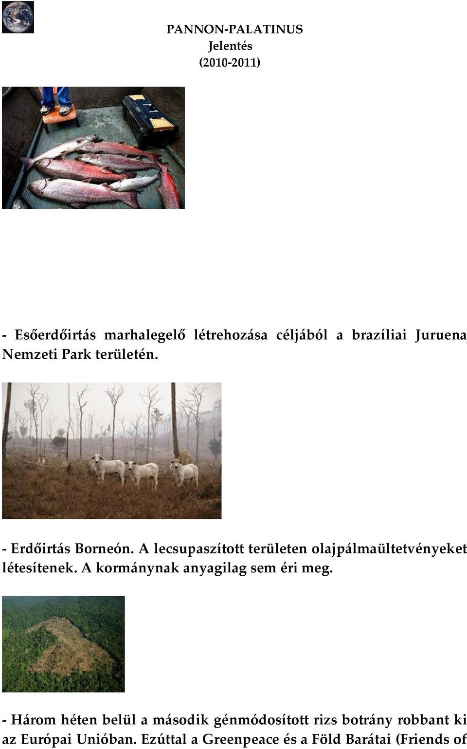 A lecsupaszított területen olajp{lmaültetvényeket létesítenek.