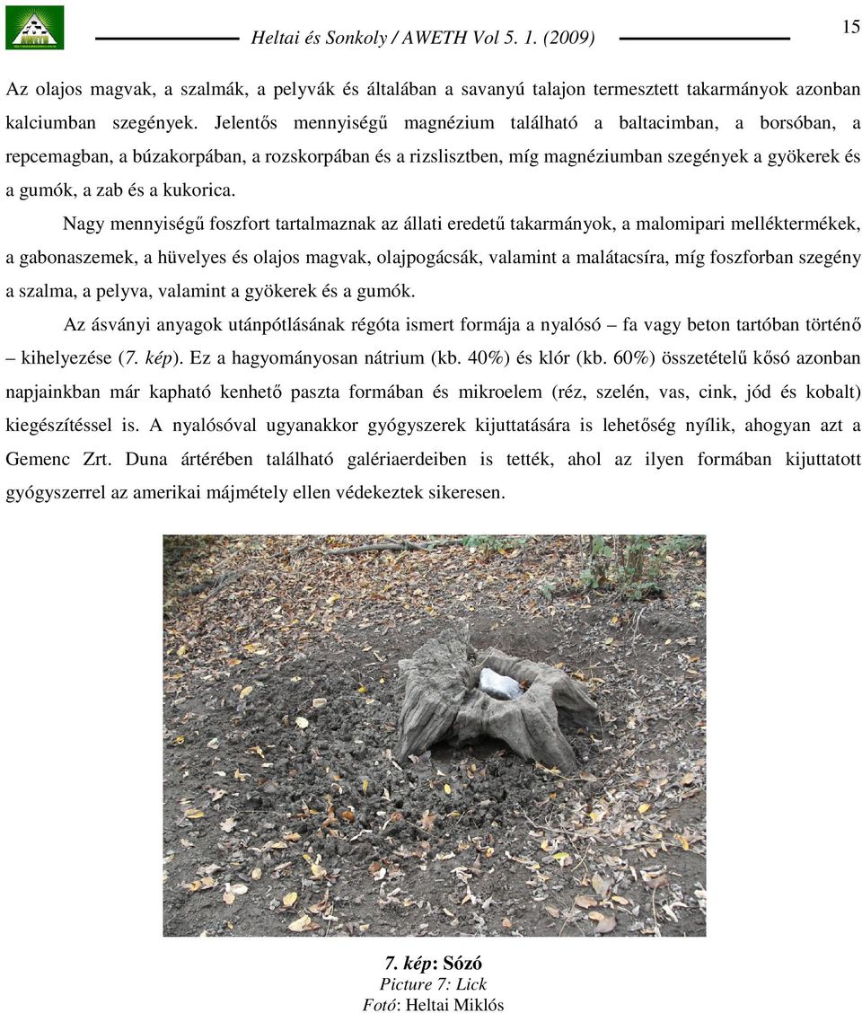 kukorica.