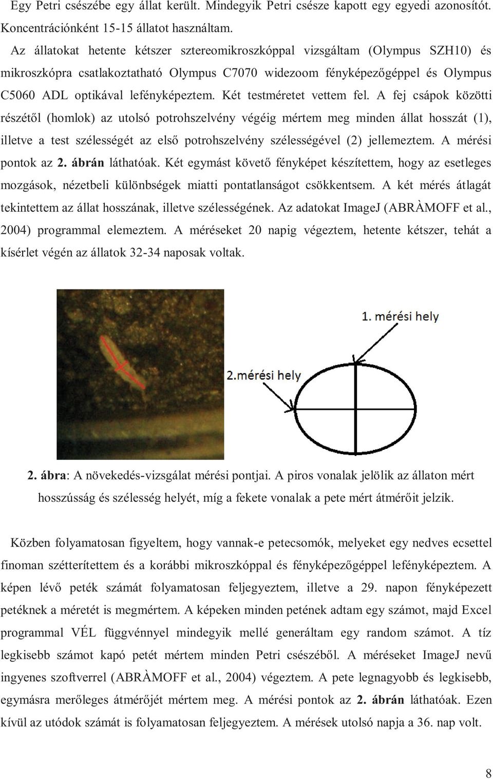 Két testméretet vettem fel.
