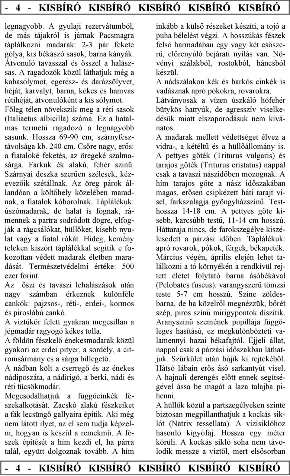 Főleg télen növekszik meg a réti sasok (Italiaetus albicilla) száma. Ez a hatalmas termetű ragadozó a legnagyobb sasunk. Hossza 69-90 cm, szárnyfesztávolsága kb. 240 cm.