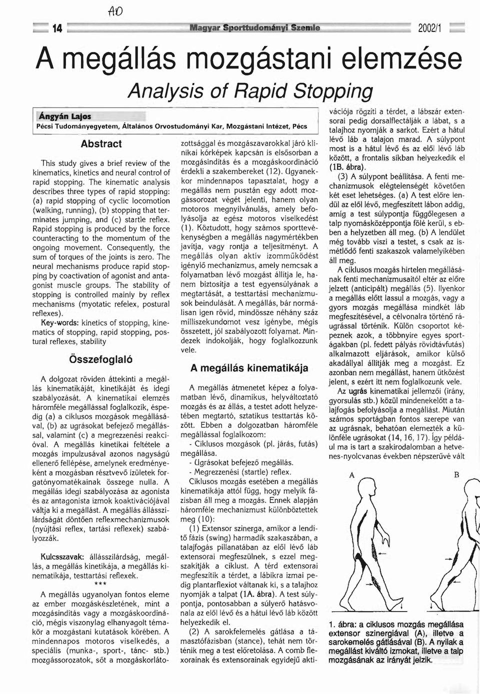 gives a brief review of the kinematics, kinetics and neural control of rapid stopping.