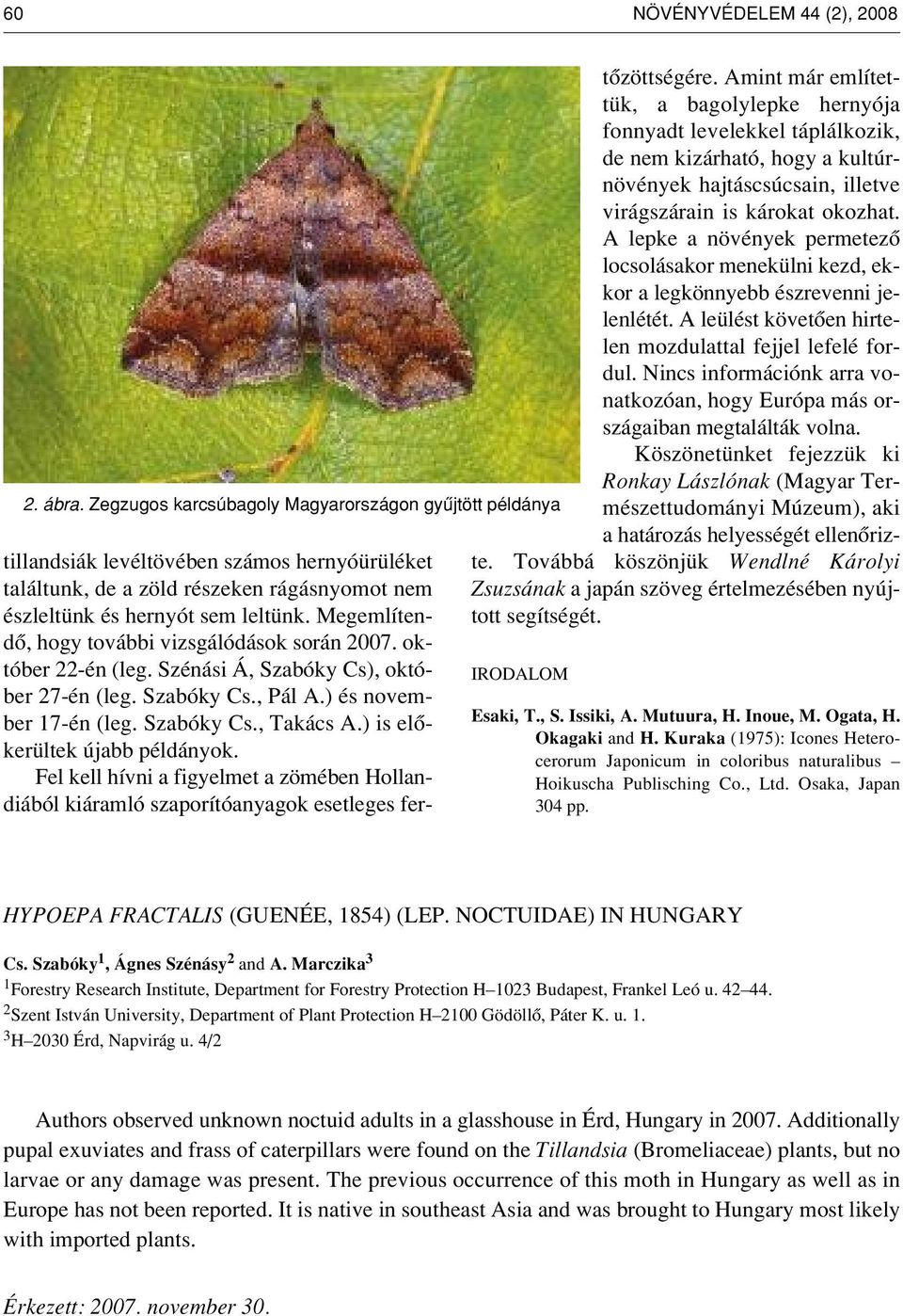 Megemlítendô, hogy további vizsgálódások során 2007. október 22-én (leg. Szénási Á, Szabóky Cs), október 27-én (leg. Szabóky Cs., Pál A.) és november 17-én (leg. Szabóky Cs., Takács A.