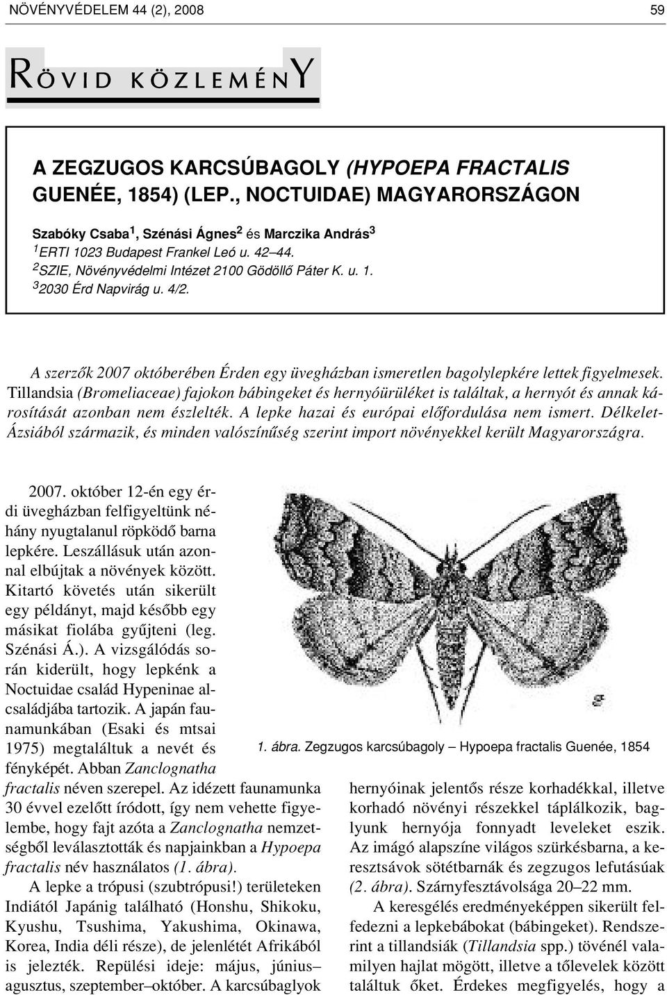4/2. A szerzôk 2007 októberében Érden egy üvegházban ismeretlen bagolylepkére lettek figyelmesek.