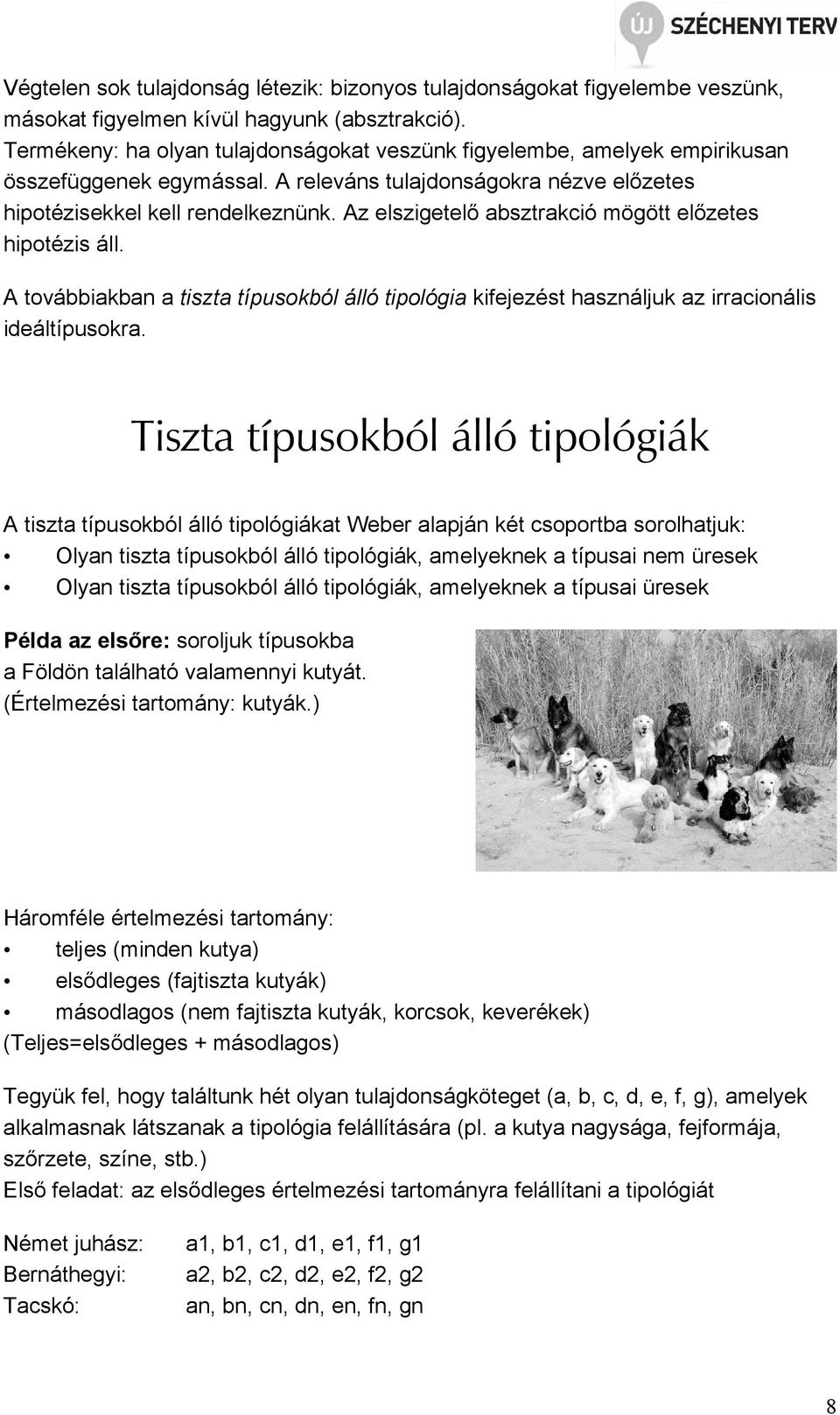 Az elszigetelı absztrakció mögött elızetes hipotézis áll. A továbbiakban a tiszta típusokból álló tipológia kifejezést használjuk az irracionális ideáltípusokra.