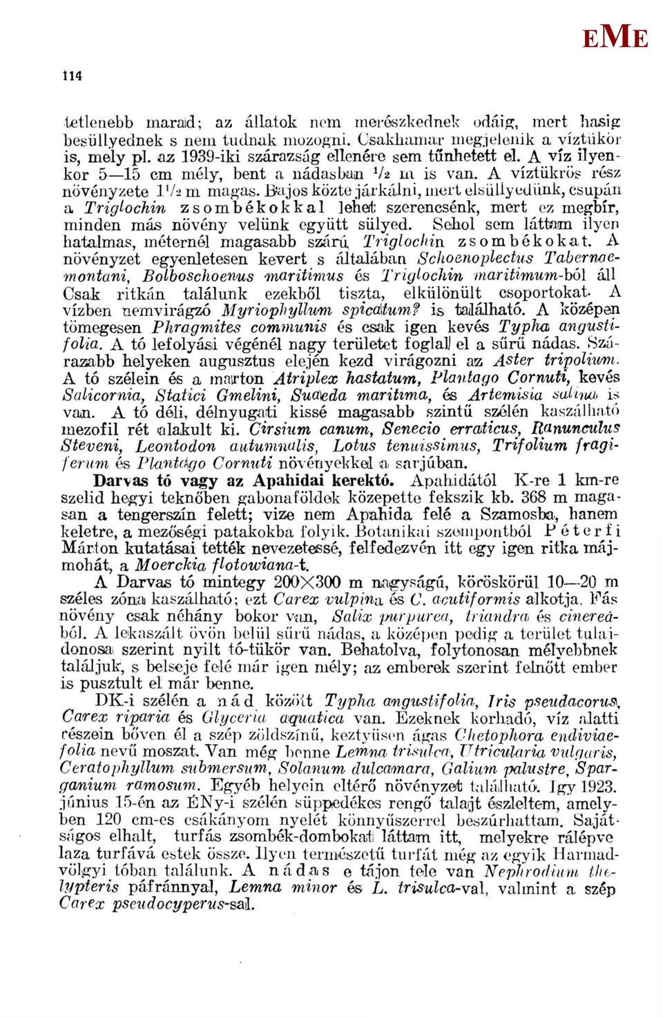 Bajos közte járkálni, mert elsüllyedünk, csupán a Triglochin zsombékokkal lehet szerencsénk, mert ez megbír, minden más növény velünk együtt sülyed.