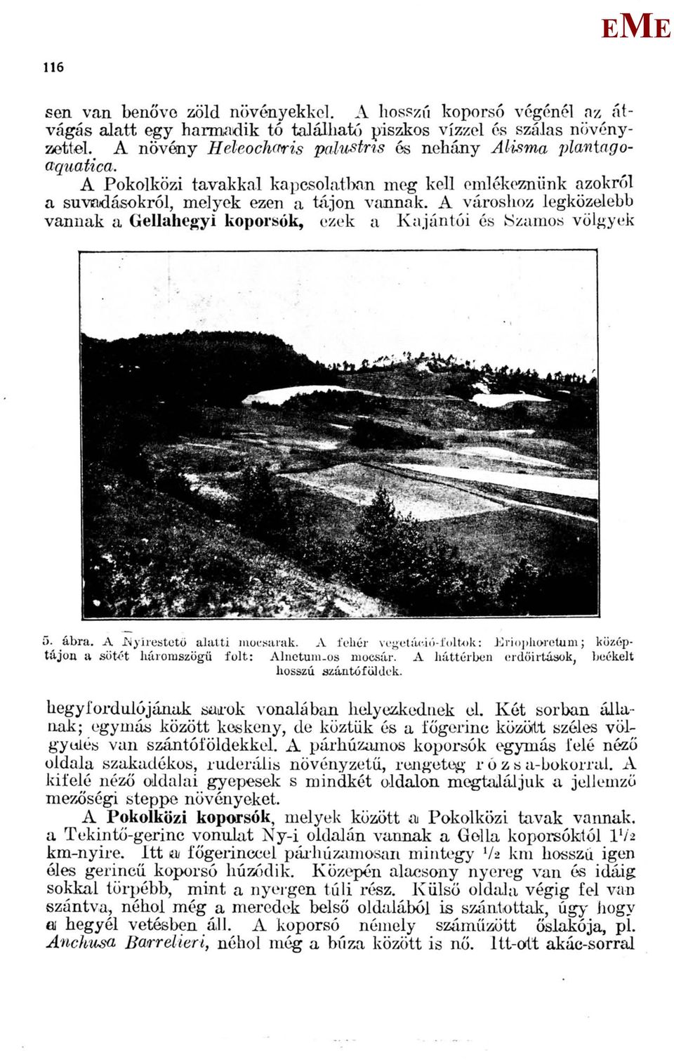 A városhoz legközelebb vannak a Gellahegyi koporsók, ezek a Kajántói és ÍSzamos völgyek 5. ábra. A JNy ires tető alatti mocsarak.