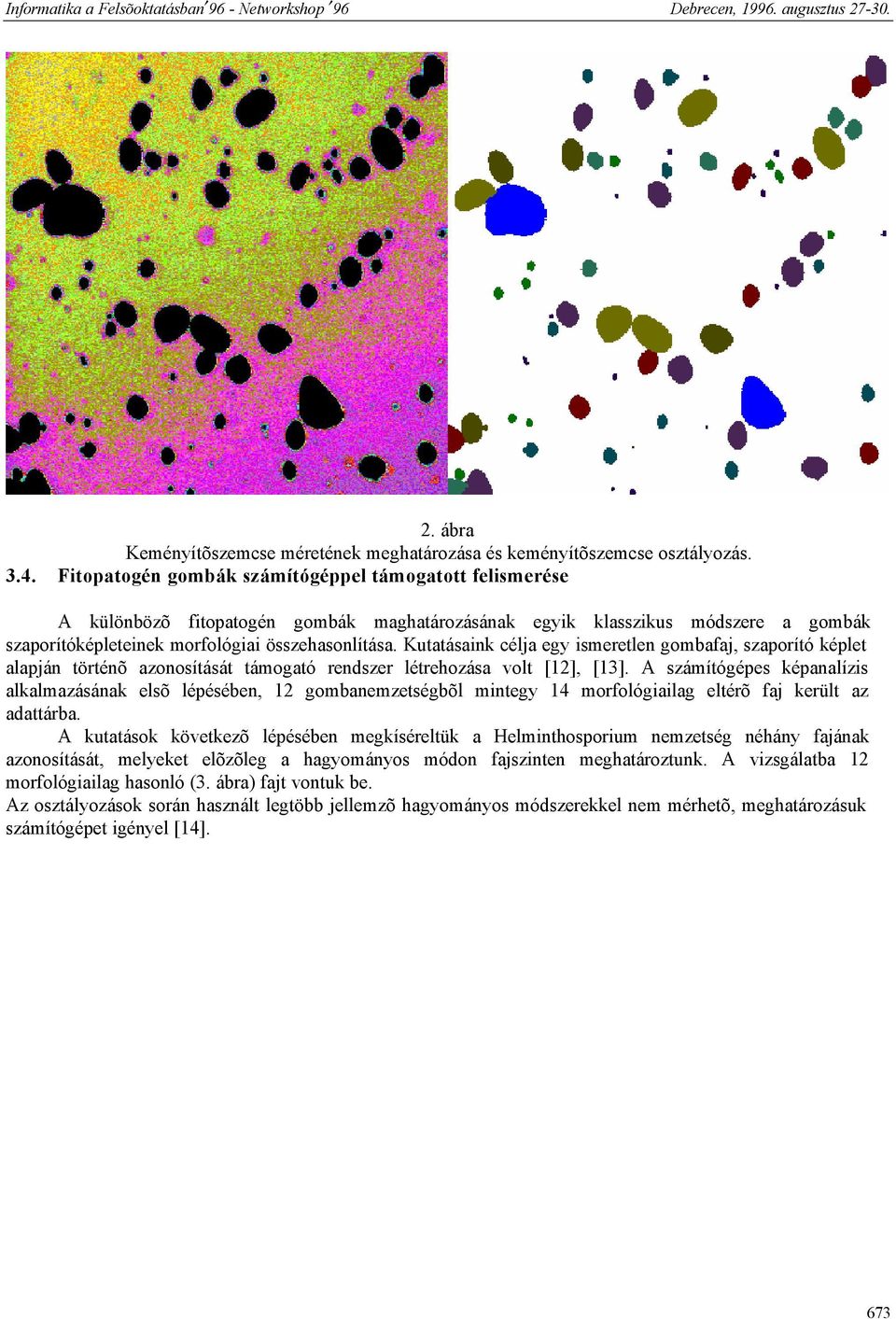 Kutatásaink célja egy ismeretlen gombafaj, szaporító képlet alapján történõ azonosítását támogató rendszer létrehozása volt [12], [13].
