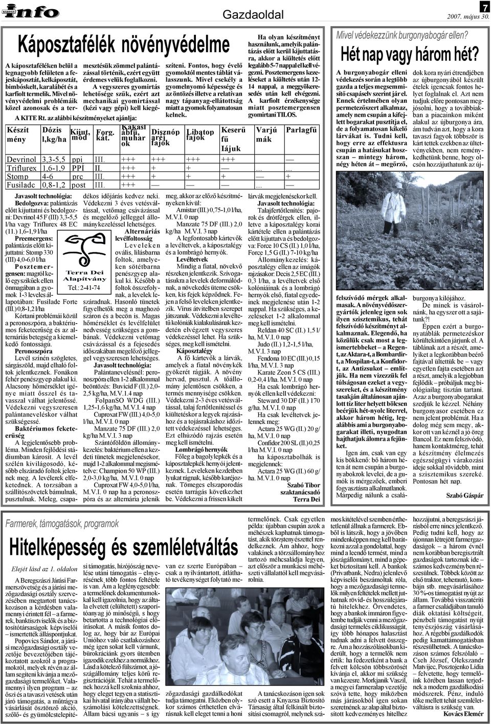 : 2-41-74 mesztésük zömmel palántázással történik, ezért együtt érdemes velük foglalkozni. A vegyszeres gyomirtás lehetősége szűk, ezért azt mechanikai gyomirtással (kézi vagy gépi) kell kiegészíteni.