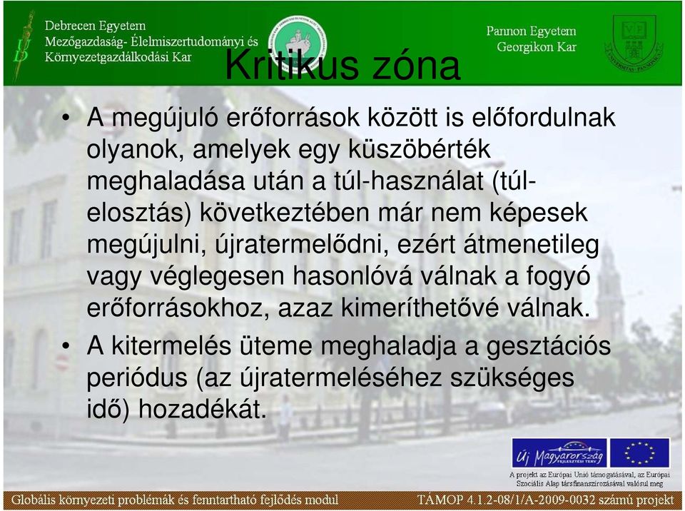 újratermelıdni, ezért átmenetileg vagy véglegesen hasonlóvá válnak a fogyó erıforrásokhoz, azaz