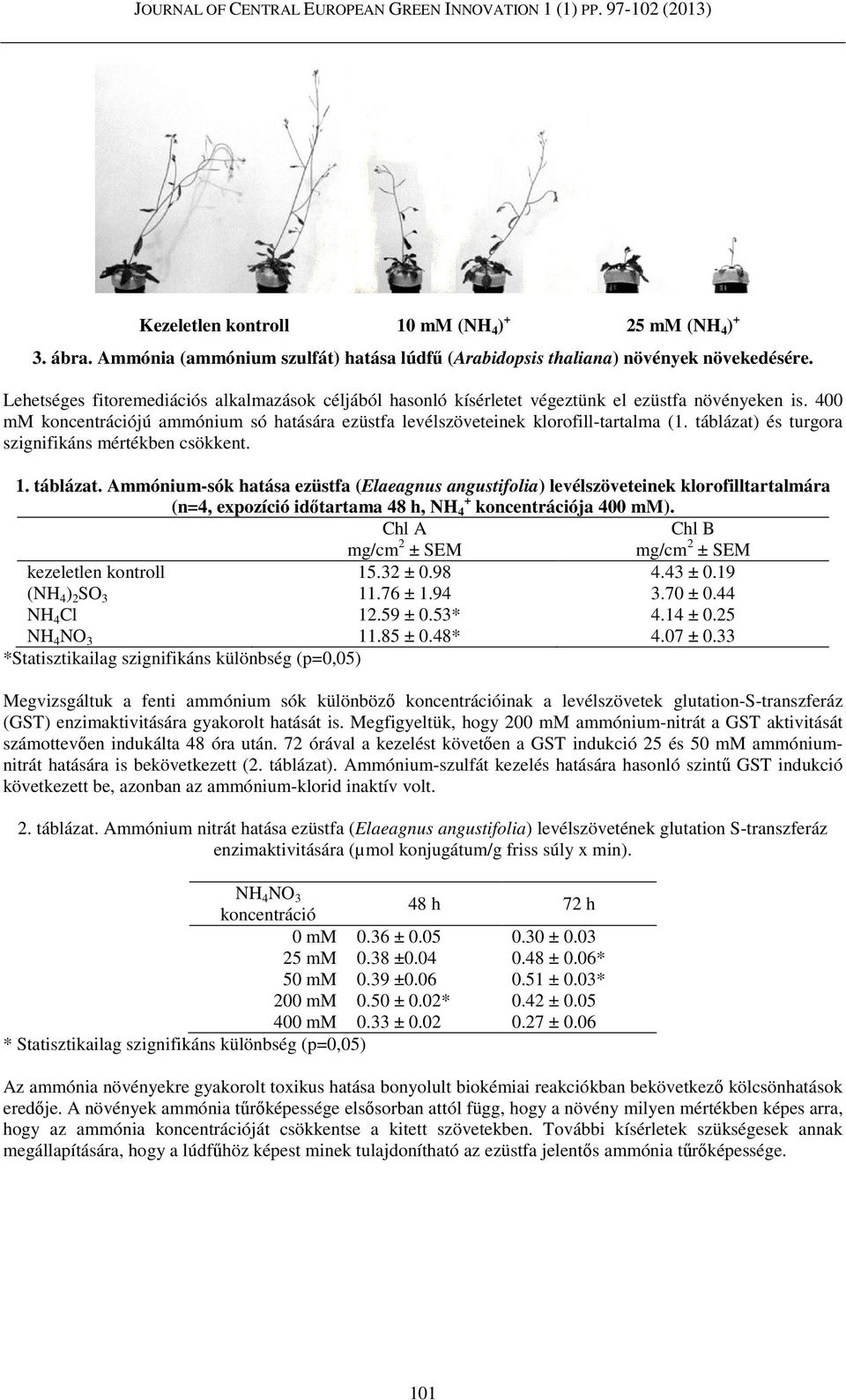 400 mm koncentrációjú ammónium só hatására ezüstfa levélszöveteinek klorofill-tartalma (1. táblázat)