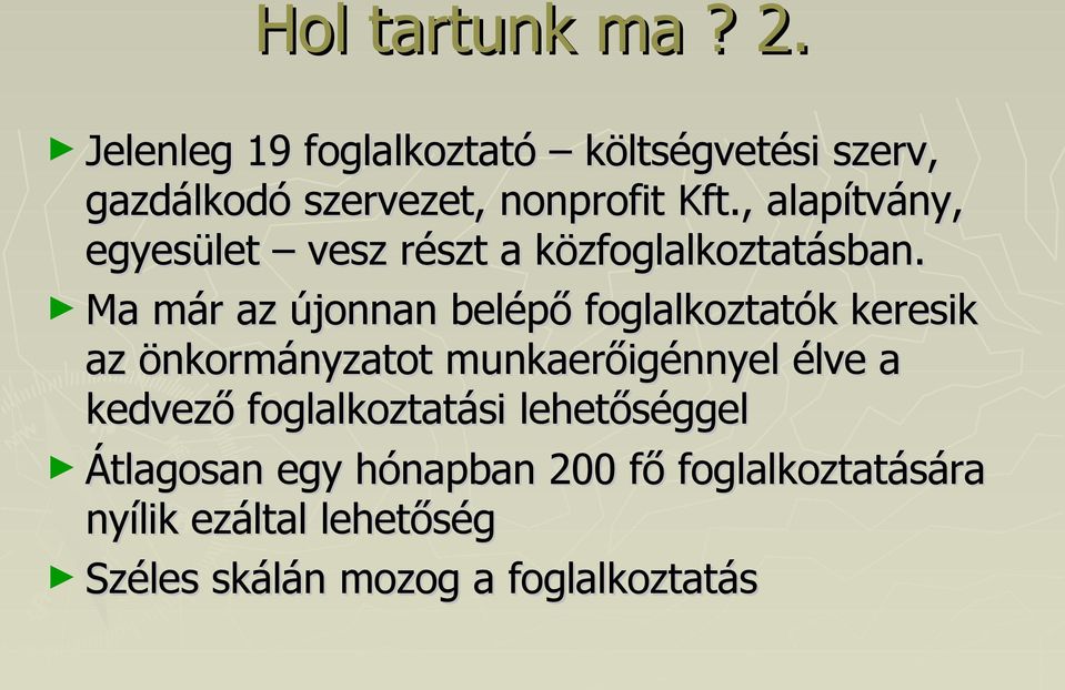 , alapítvány, egyesület vesz részt a közfoglalkoztatásban.