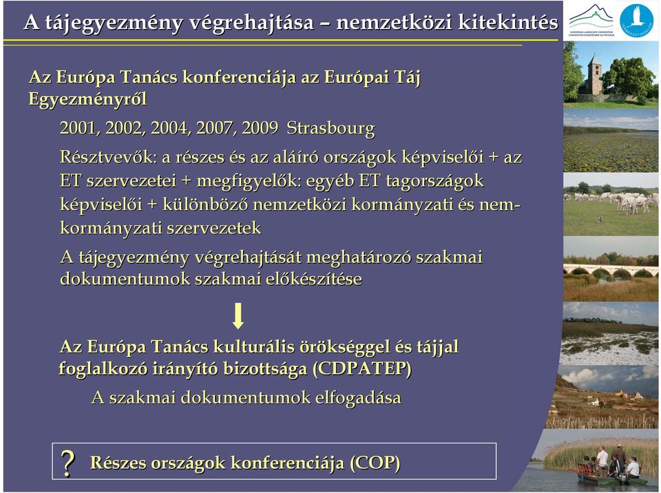 nemzetközi kormányzati és nem- kormányzati szervezetek A tájegyezmény végrehajtását meghatározó szakmai dokumentumok szakmai előkészítése Az